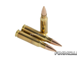 Inert 7.62x51mm NATO